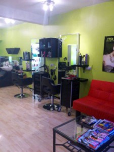 salon_3_20130321_1882683586